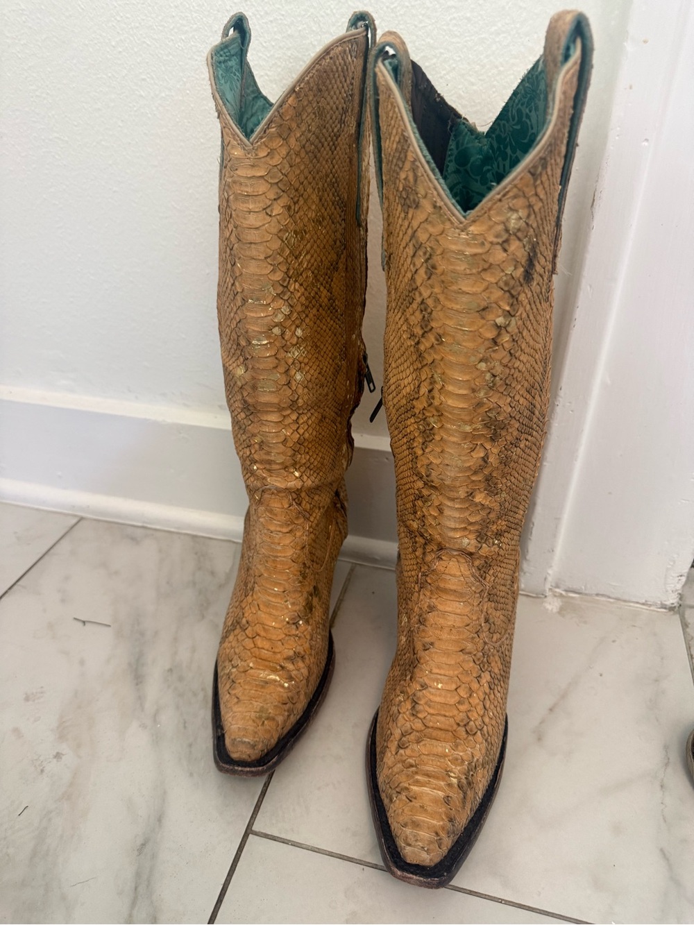 Corral Exotic Reptile Leather Tall Women's Cowboy Boots
